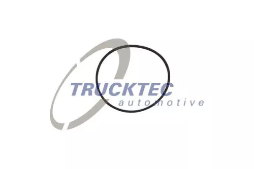 Gasket, cylinder liner
