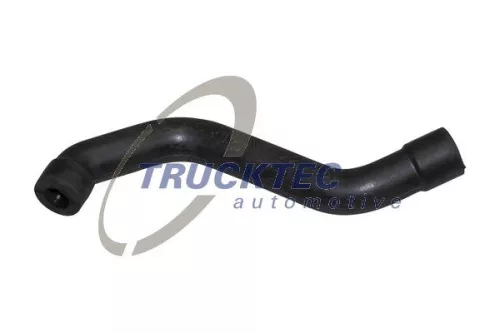 Hose, crankcase ventilation