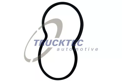 Gasket, thermostat housing