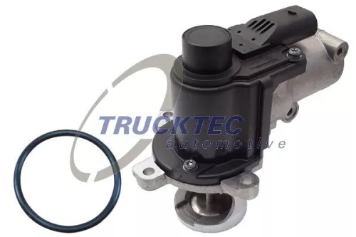 EGR Valve