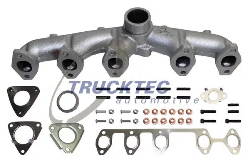 Manifold, exhaust system