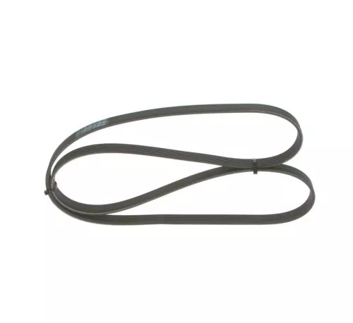 V-ribbed Belt