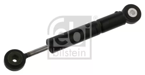 FEBI BILSTEIN 1x Vibration Damper, V-ribbed belt (05760)