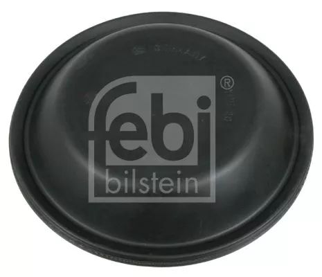 FEBI BILSTEIN 10x Diaphragm, diaphragm brake cylinder (07097)