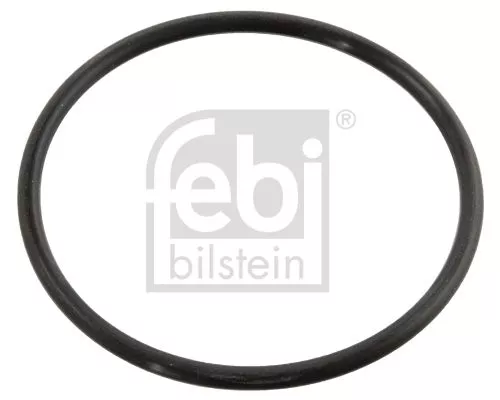 100x Seal, thermostat