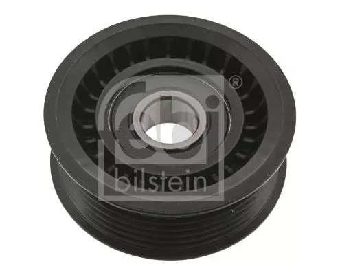 1x Deflection/Guide Pulley, V-ribbed belt