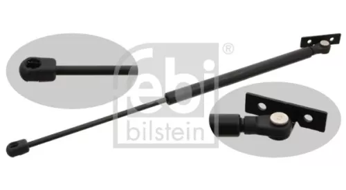 1x Gas Spring, bonnet