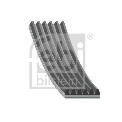 FEBI BILSTEIN 1x V-Ribbed Belt (29022)