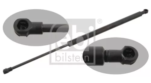 1x Gas Spring, bonnet