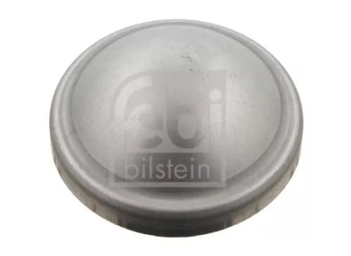 20x Cap, wheel bearing