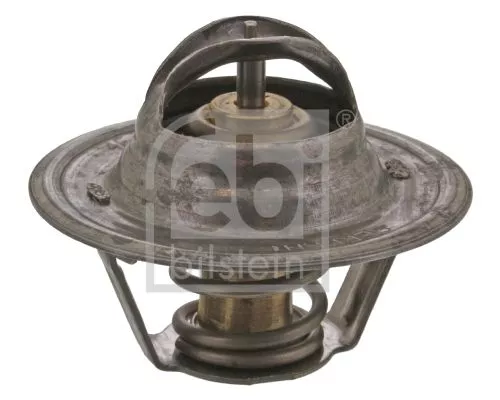 1x Thermostat, coolant