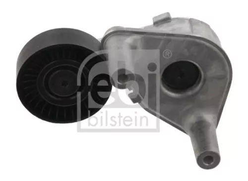 1x Belt Tensioner, V-ribbed belt