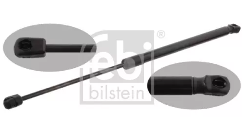 1x Gas Spring, bonnet