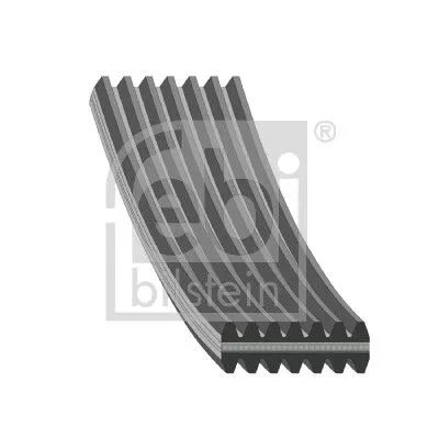 1x V-Ribbed Belt