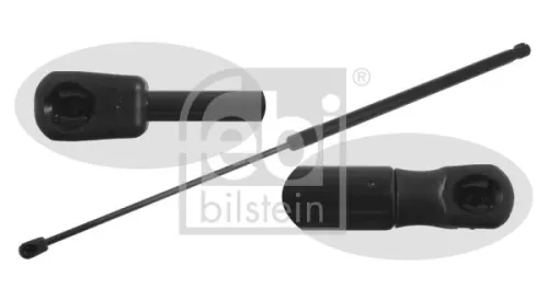 1x Gas Spring, bonnet