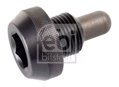 1x Screw Plug, oil sump