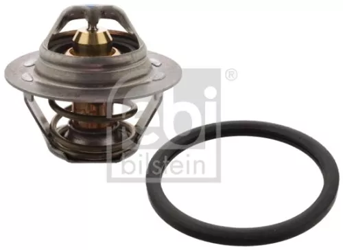 1x Thermostat, coolant