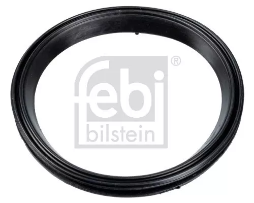1x Gasket, timing case cover