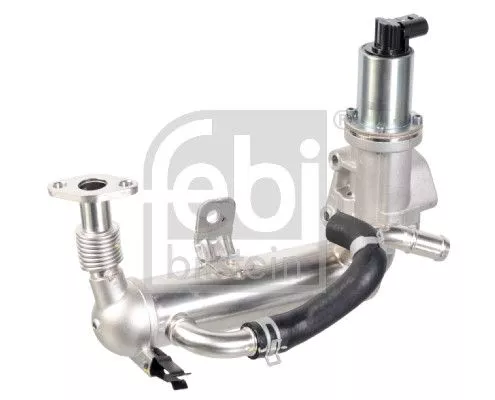 1x EGR Module