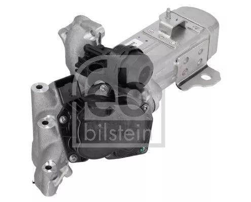 1x EGR Module