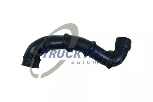 Hose, crankcase ventilation