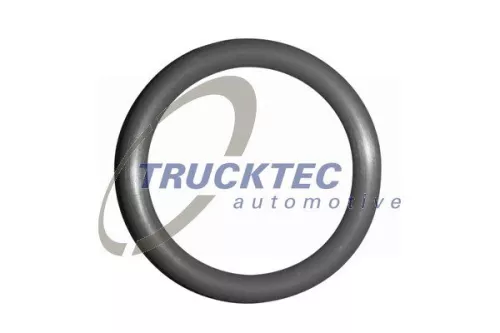 Gasket, timing case cover