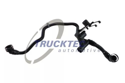 Hose, crankcase ventilation
