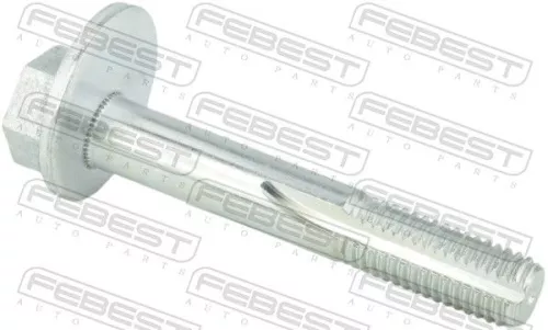 Camber Correction Screw