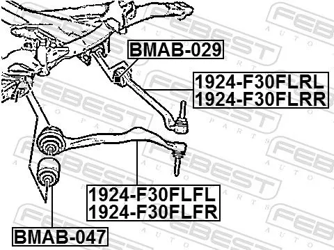 FEBEST Control/Trailing Arm, wheel suspension (1924-F30FLRL)