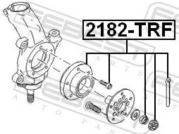 FEBEST Wheel Hub (2182-TRF)