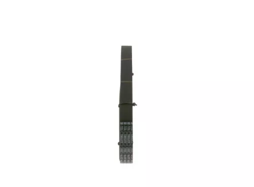 BOSCH V-Ribbed Belt (1987945742)
