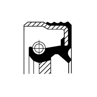 CORTECO Shaft Seal, crankshaft (12013479B)