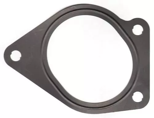 Gasket, coolant flange