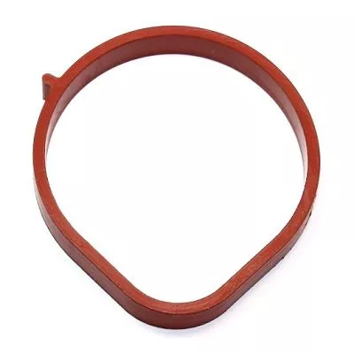 Gasket, intake manifold