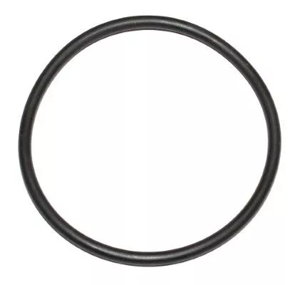 Seal Ring