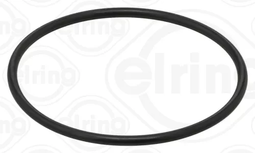 Seal Ring