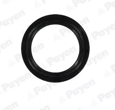 PAYEN Shaft Seal, crankshaft (NA5498)