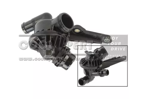 Thermostat, coolant