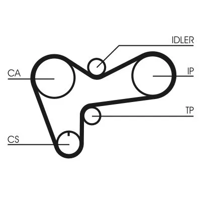 Timing Belt