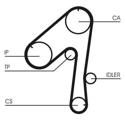 Timing Belt