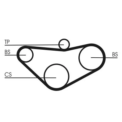 CONTINENTAL CTAM Timing Belt (CT800)