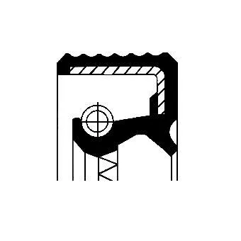 Shaft Seal, differential