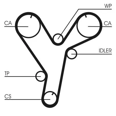 Timing Belt