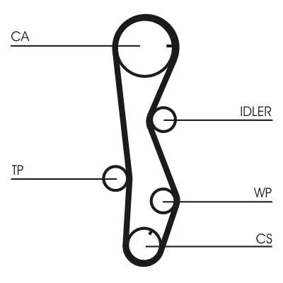 CONTINENTAL CTAM Timing Belt (CT1099)