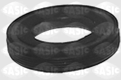 Shaft Seal, differential