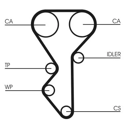 CONTINENTAL CTAM Timing Belt Kit (CT955K2)