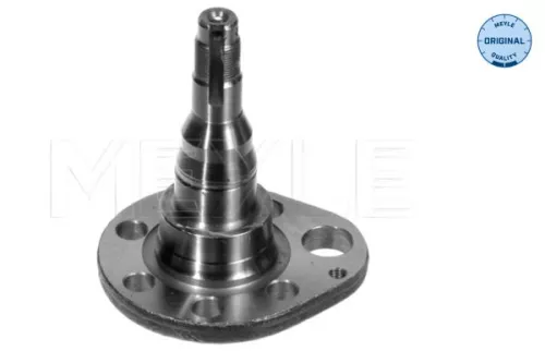 Steering Knuckle, wheel suspension