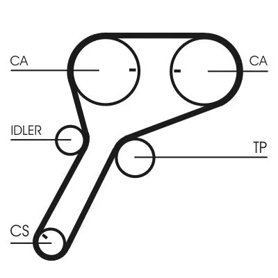 Timing Belt