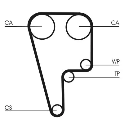 Timing Belt