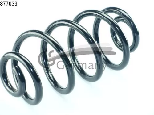 Suspension Spring